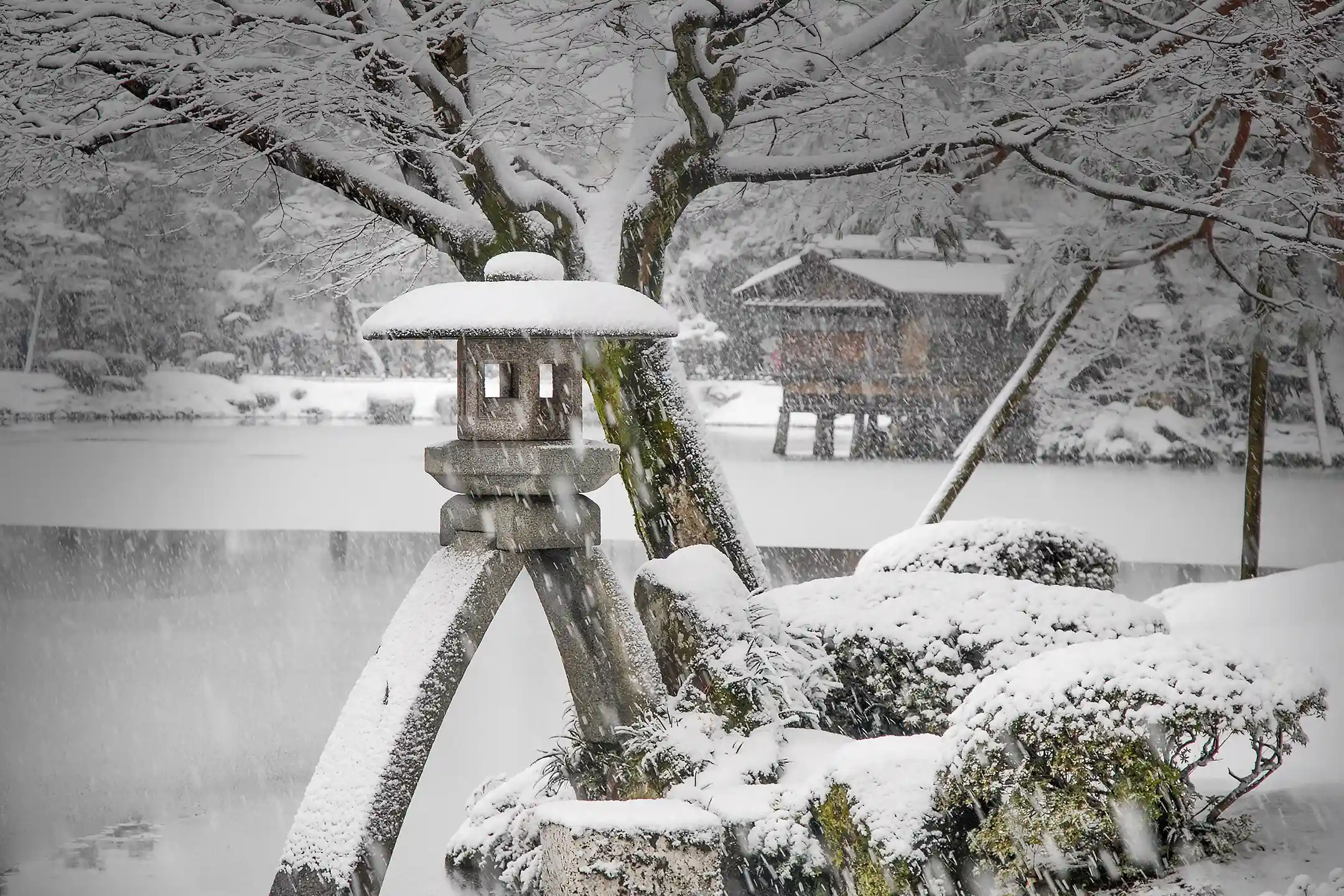 A great garden under snow