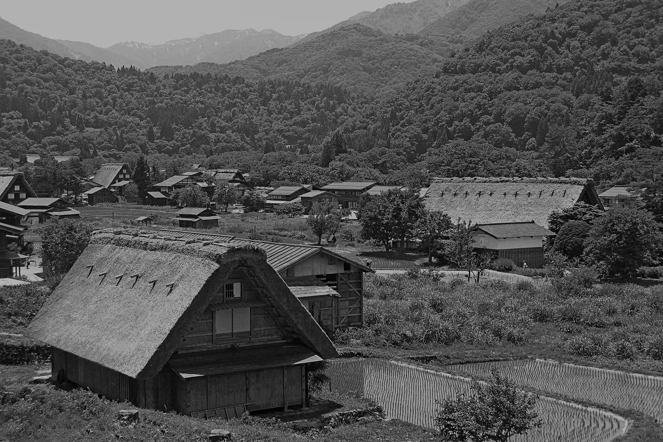 Thatched farmhouses in a mountain valley