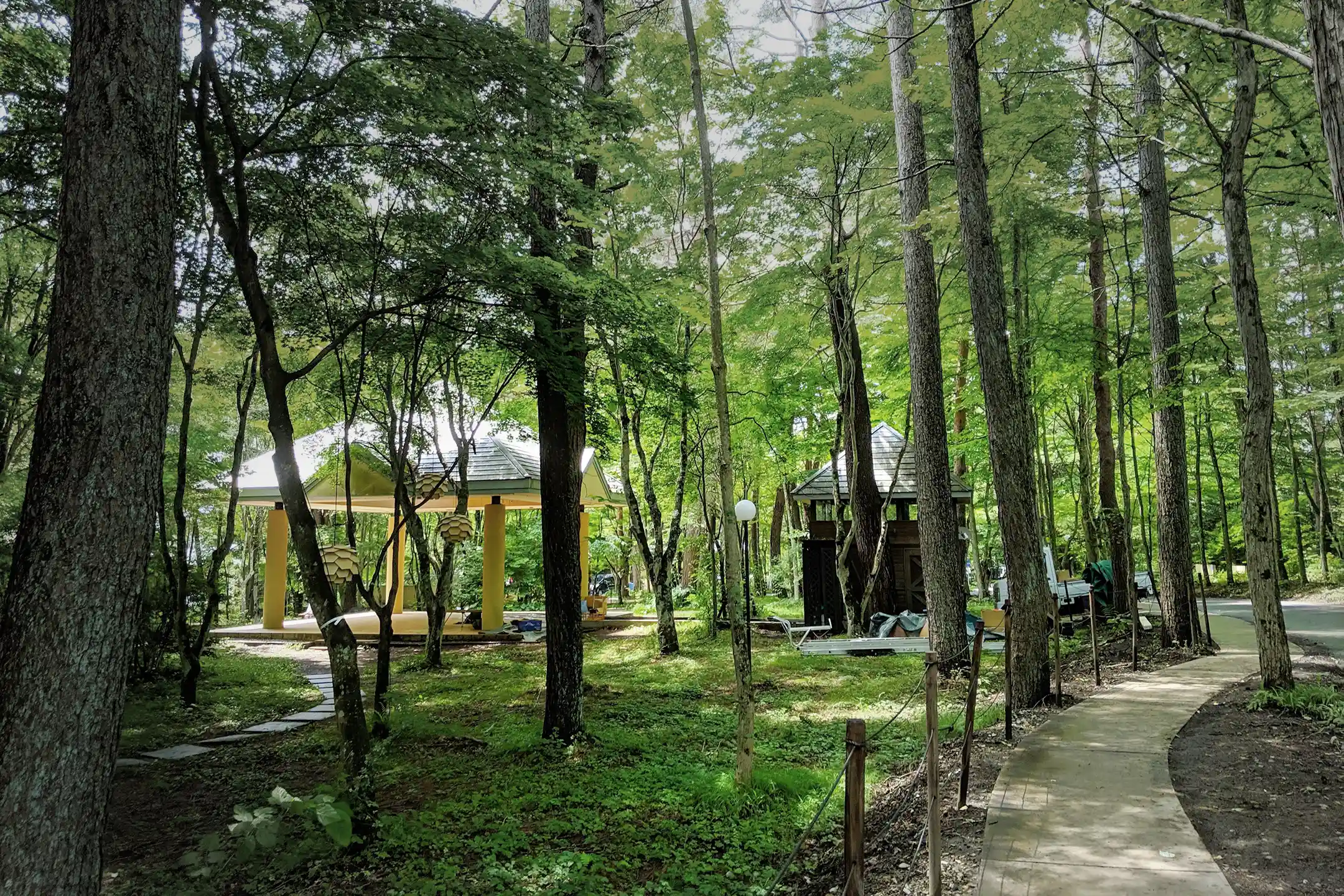 A forest road in Karuizawa, Nagano