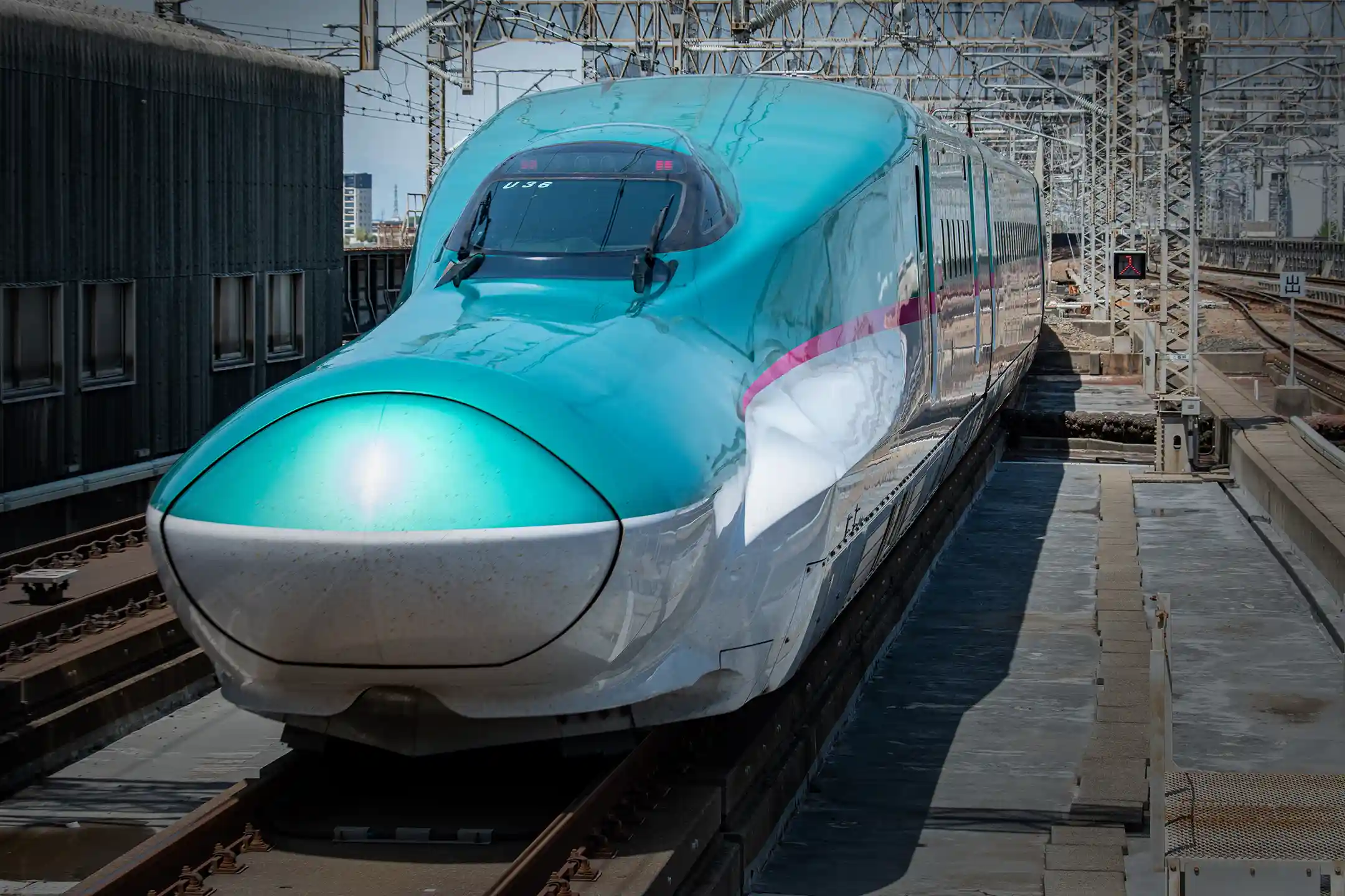 A Tohoku Shinkansen train at the platform