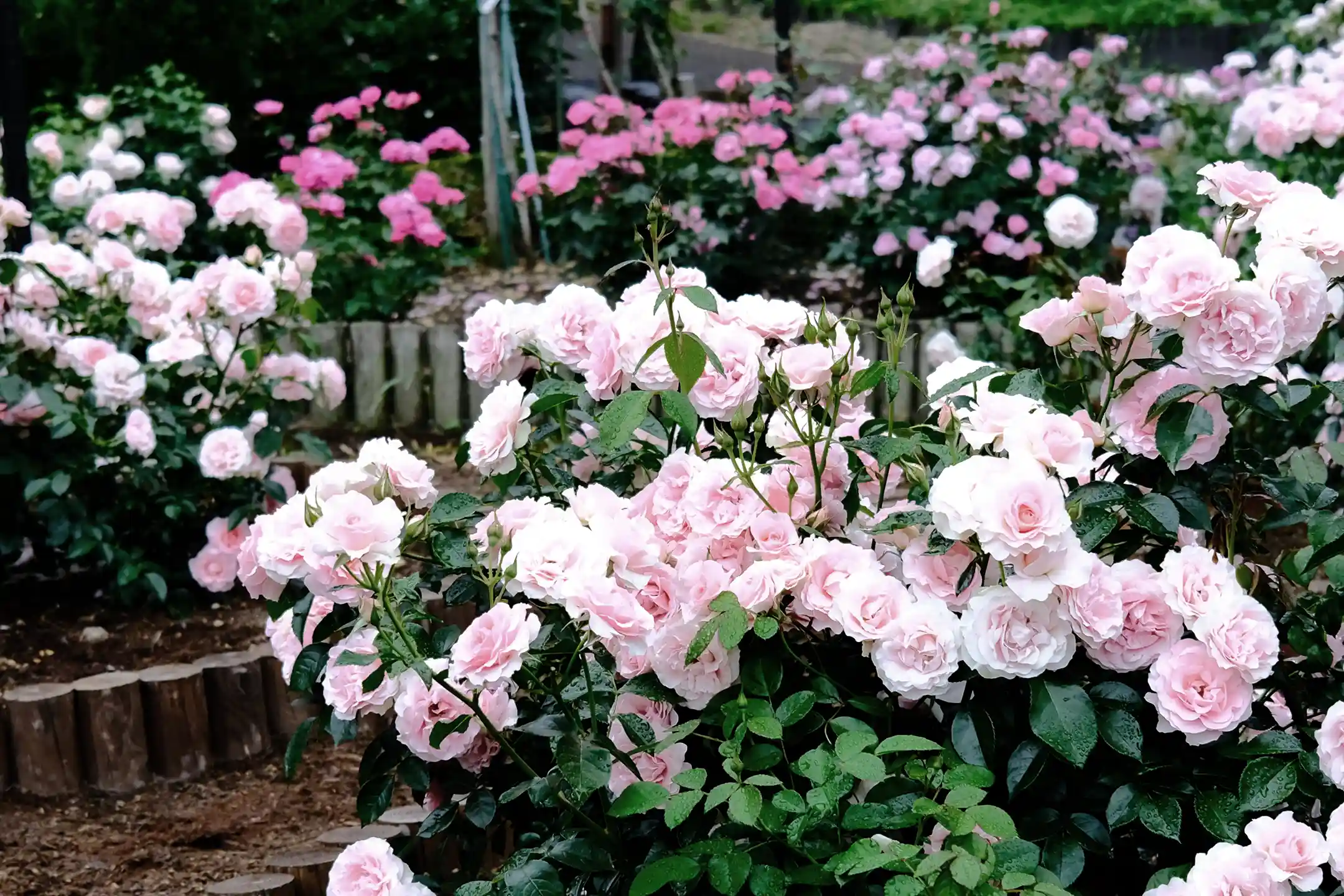 Kashoen｜An Anniversary Guide to a Serene Luxury Ryokan in Hanamaki Onsen