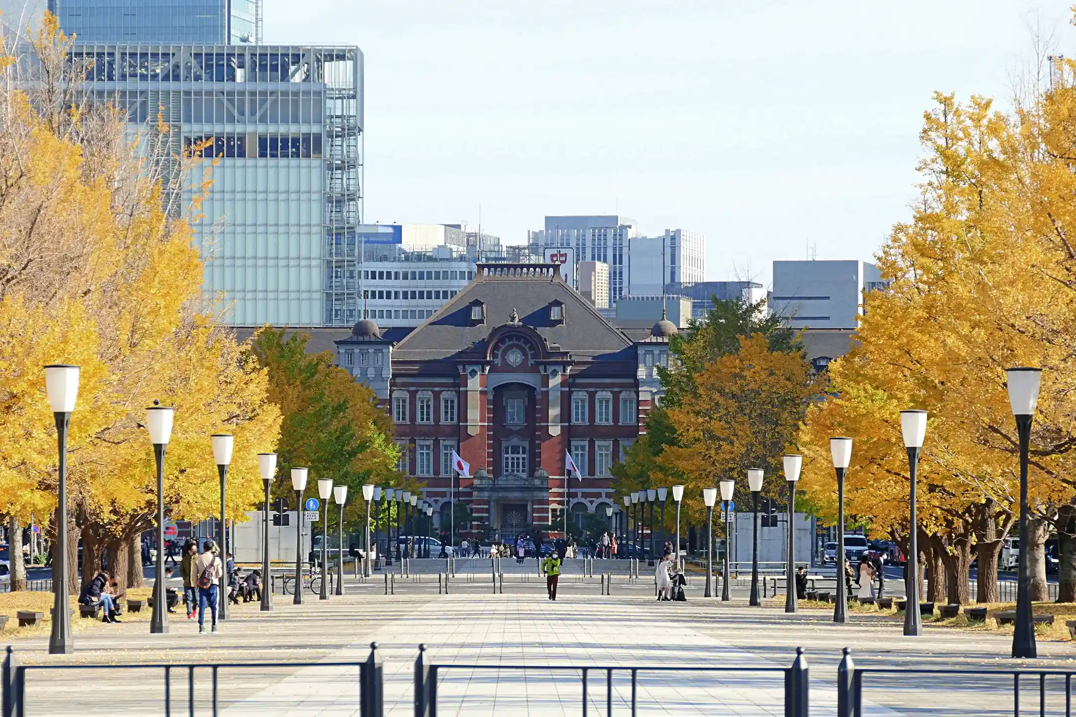 Golden ginkgo trees leading to Tokyo Station