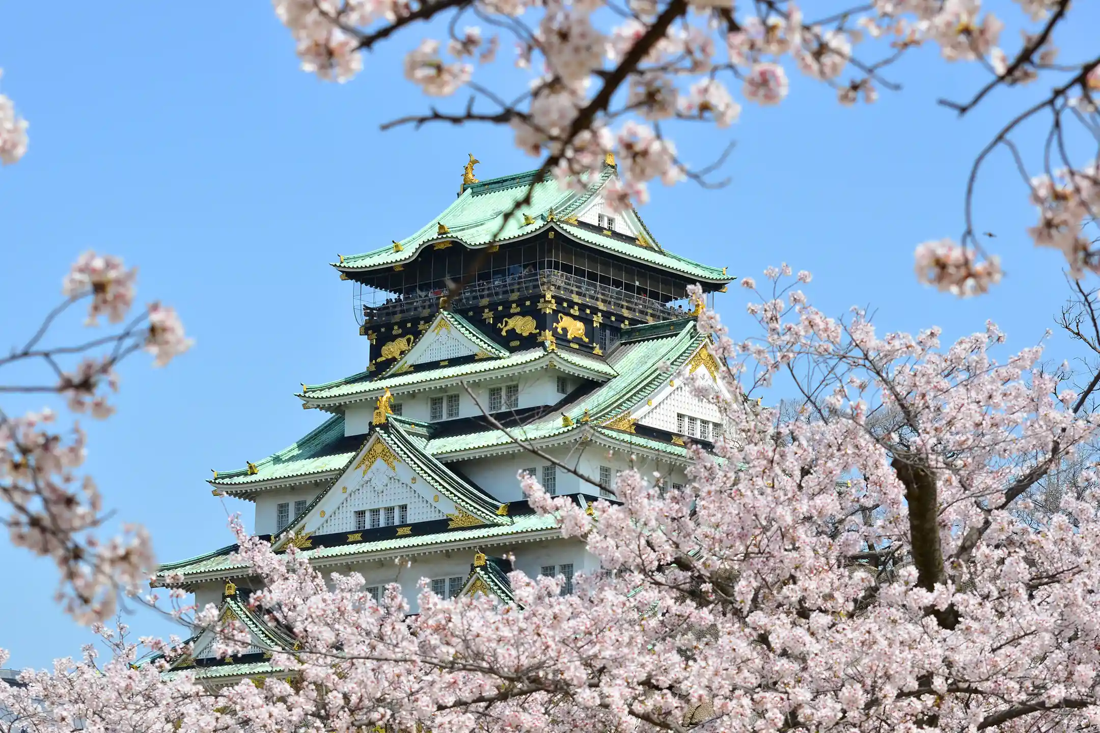 What to Do in Osaka｜The Complete Guide to Things to Do in Osaka: The Definitive Edition You’ll Enjoy Whether It’s Your First Time or Your Tenth