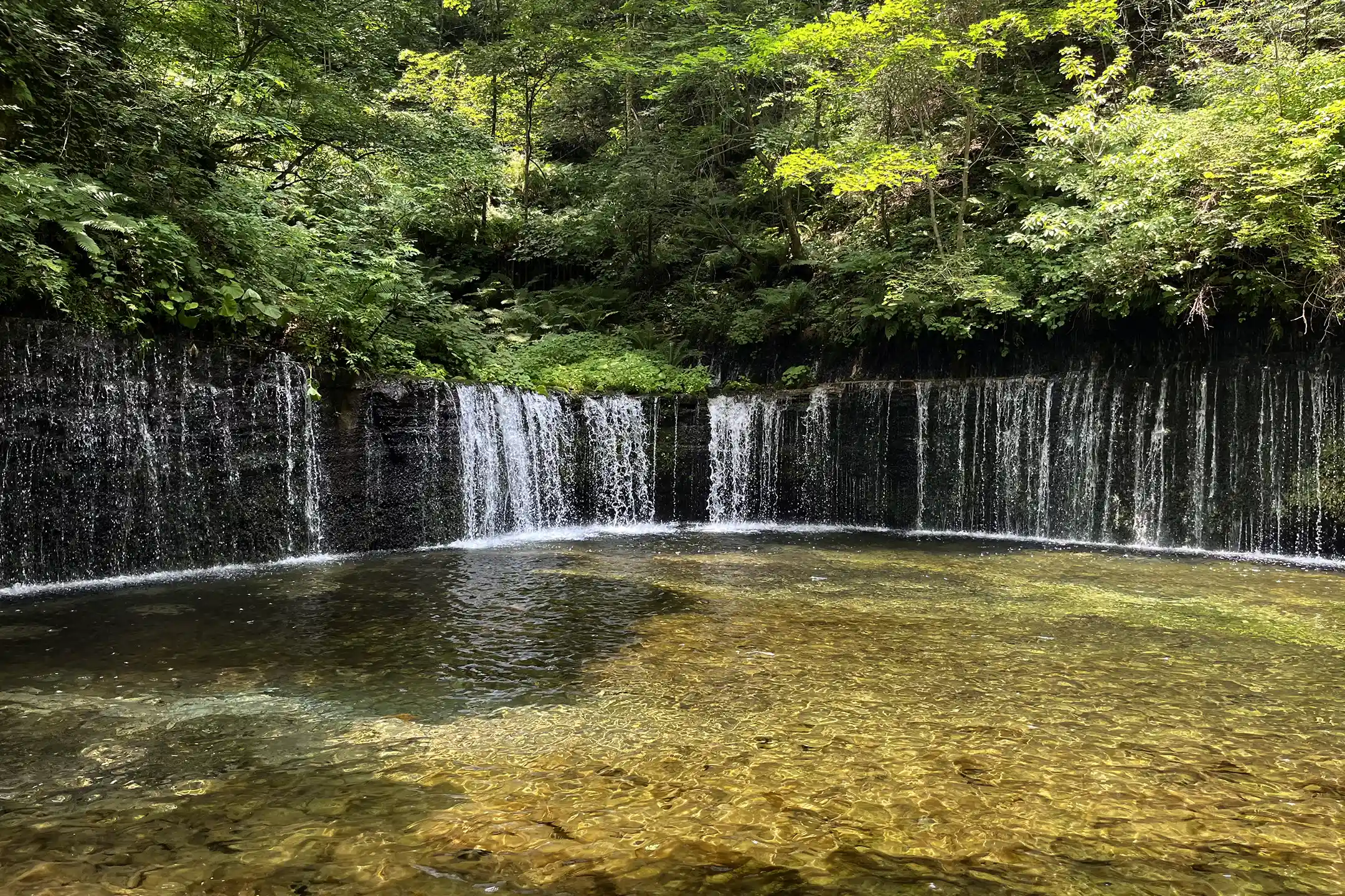 The Complete Guide to a Japan Retreat: Reboot Through Zen, Hot Springs, and Nature