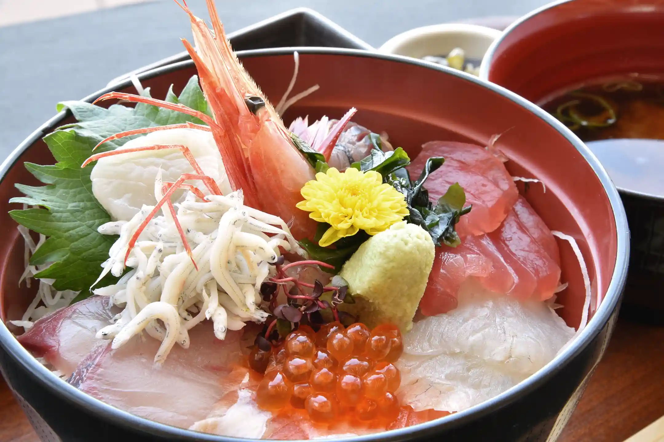 The Complete Kaisendon Guide｜Meaning, How to Eat It, Seasonality, Prices, and Finding Great Sushi Rice Bowls