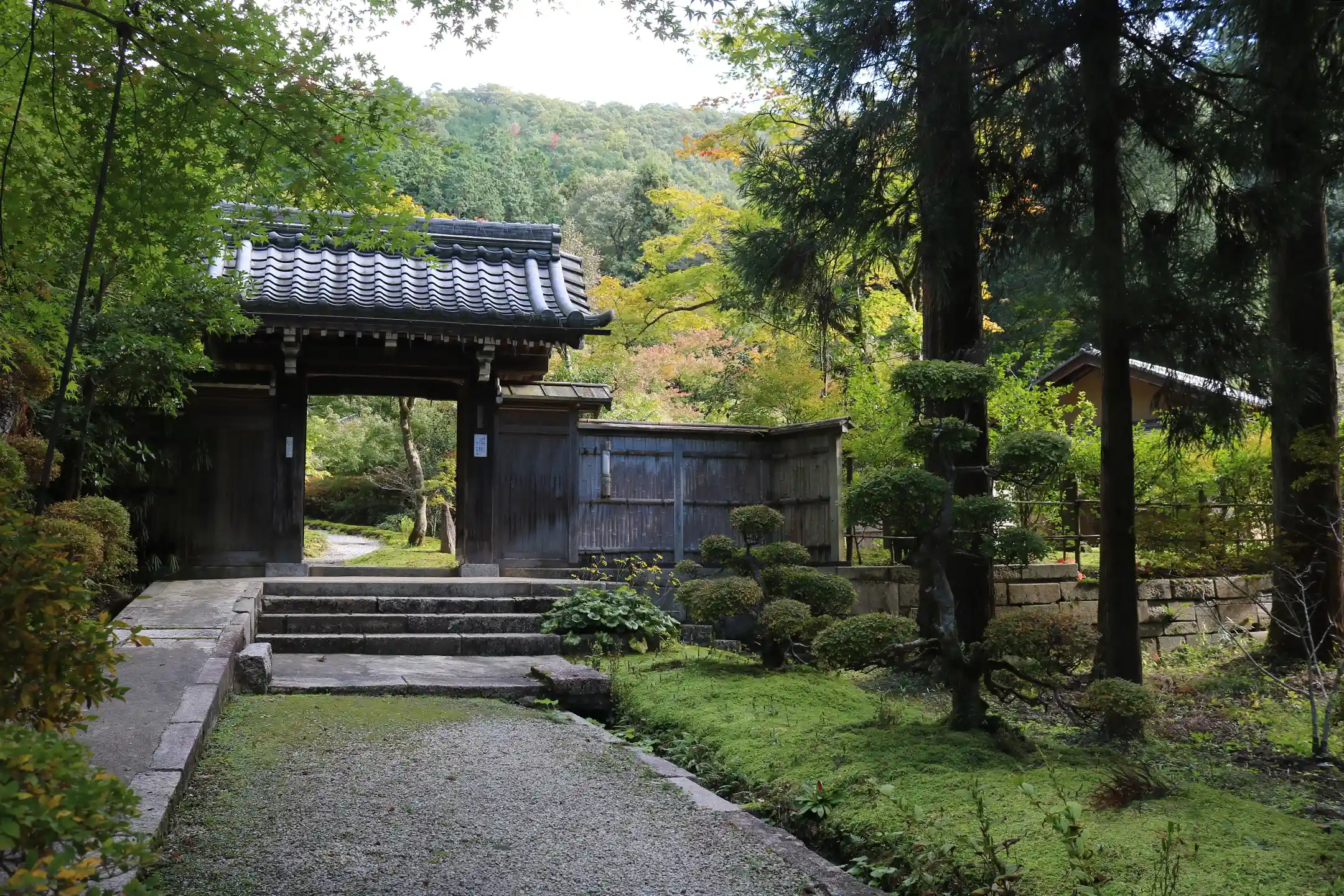 What Is the Japanese Tea Ceremony? An Introductory Guide to Its History, Procedures, Aesthetics, and How to Experience It