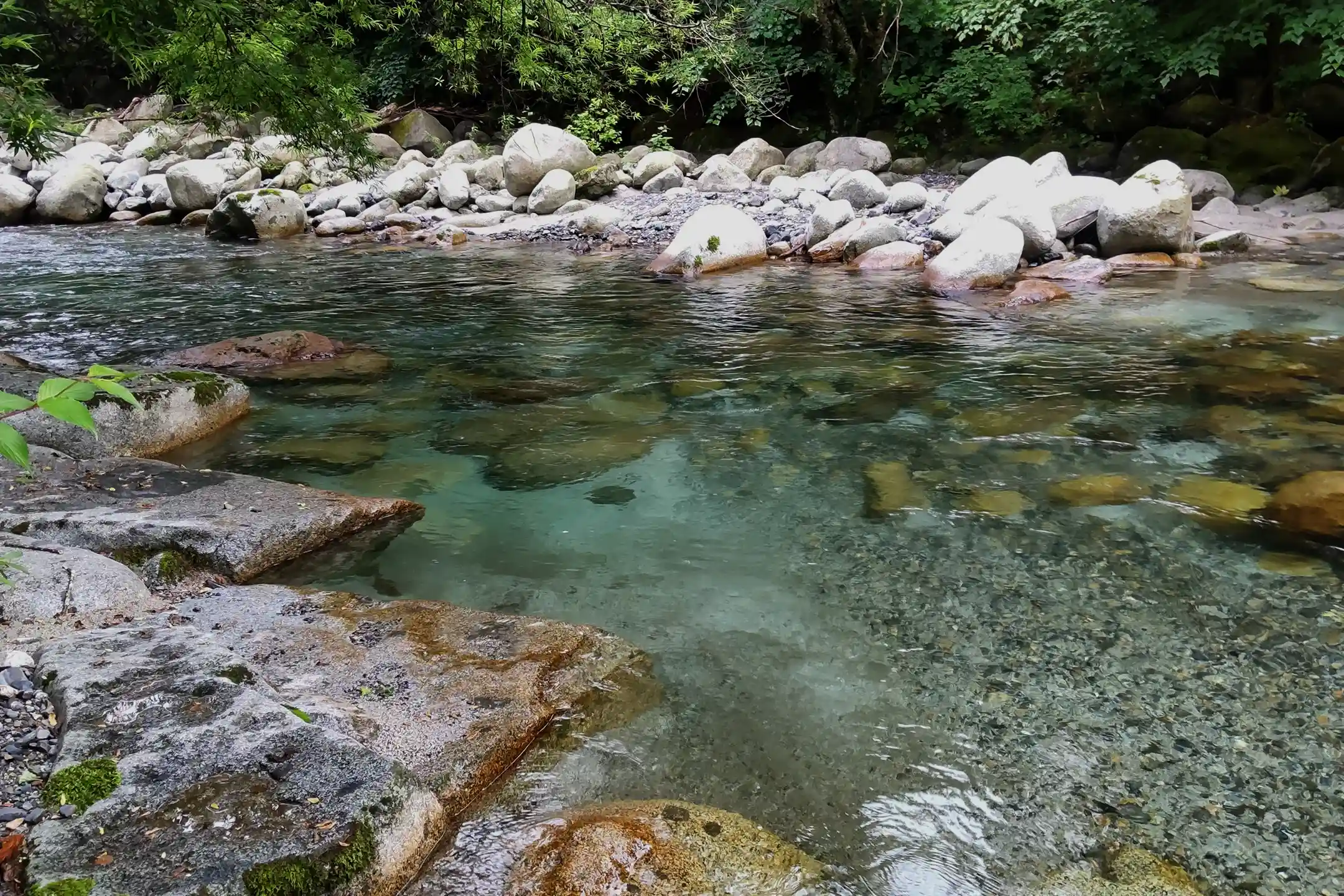 Japan Travel Nature Guide｜Wellness‑Forward Luxury Travel