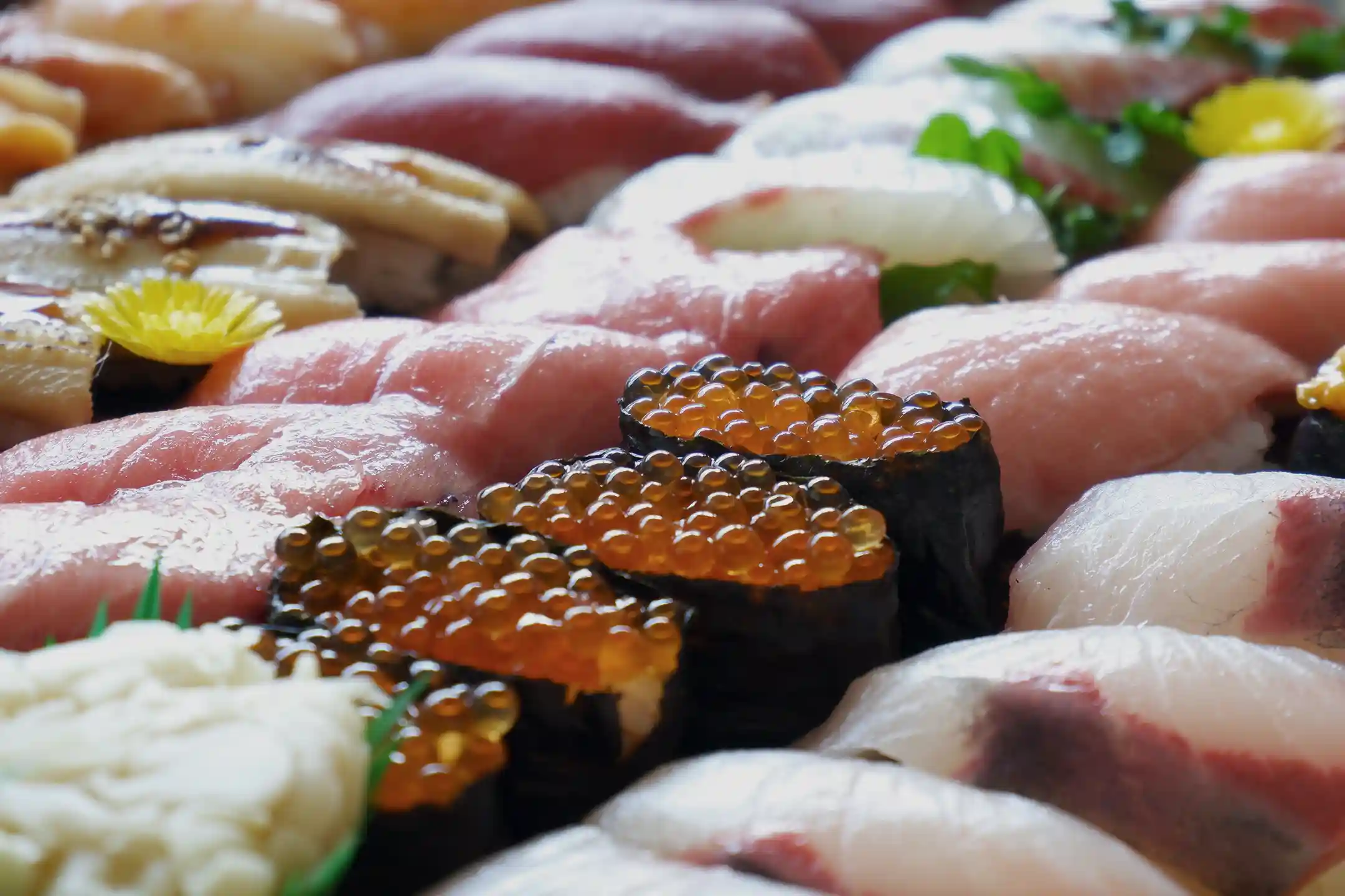 Hatsuhana Sushi Complete Menu Guide｜A Sushi Experience Where Tradition and Art Converge