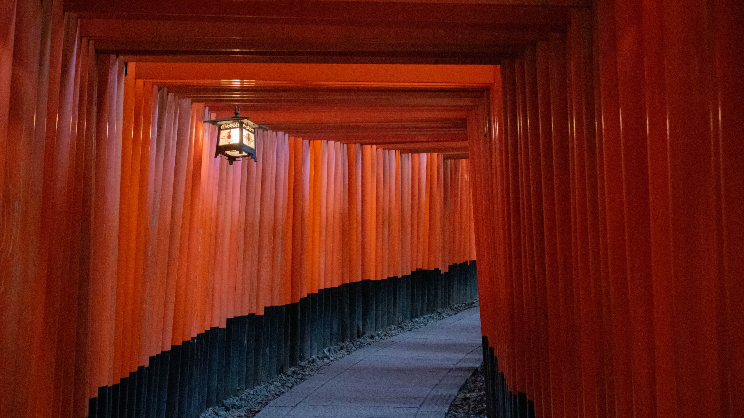 The vermilion torii corridor at Fushimi Inari Taisha, Kyoto