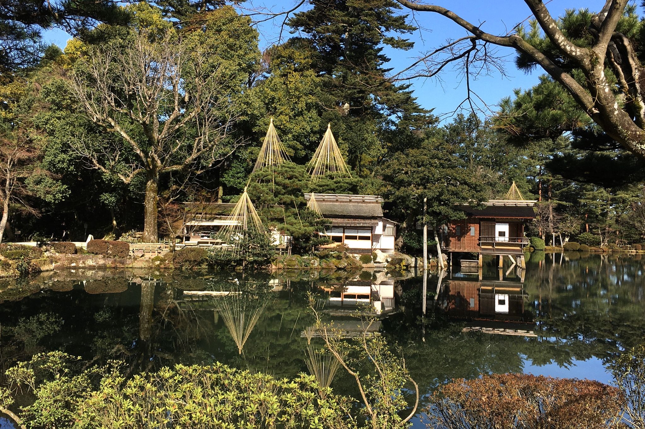 Your Guide to the Japanese Tea Ceremony in Kanazawa | How to Choose, What to Expect, and Essential Etiquette for First-Timers