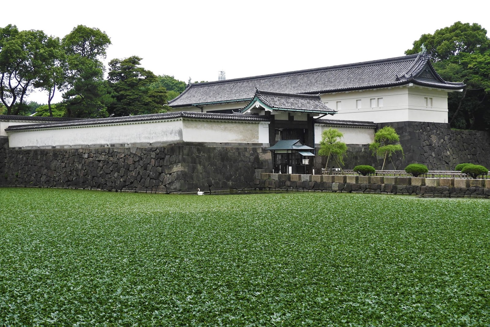 Celebrating an Anniversary at HOSHINOYA Tokyo|The Complete Luxury Ryokan Guide (hoshinoya hotel tokyo)